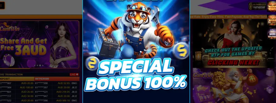 Spin king reviews